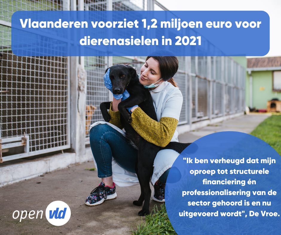 Vlaanderen voorziet 1,2 miljoen euro voor dierenasielen in 2021